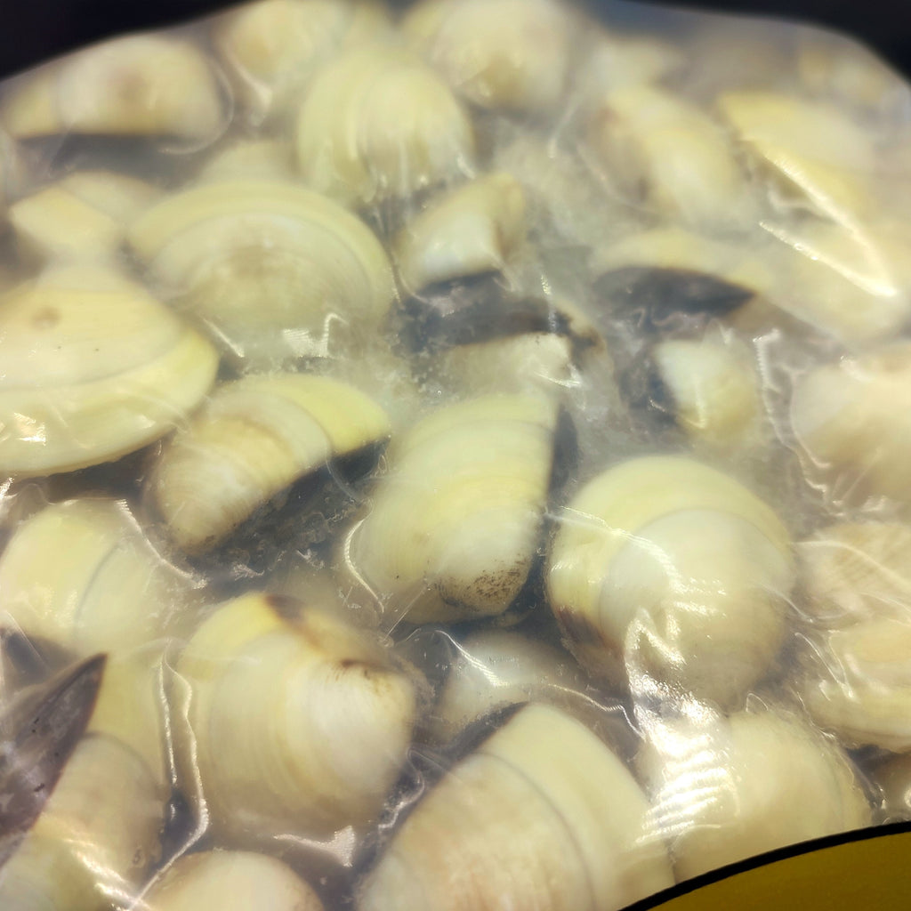 Cooked Clam Shell On - Seafood Direct UK
