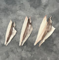 Haddock Fillets - Seafood Direct UK