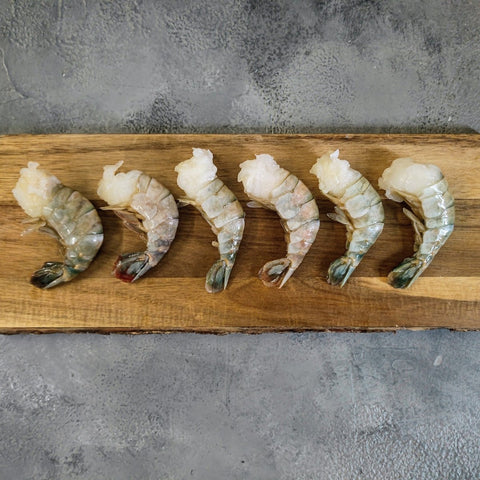 King Prawn, Headless Shell On 6/8 - Seafood Direct UK