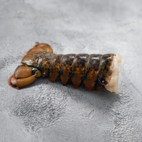 Lobster Tail MSC - Seafood Direct UK