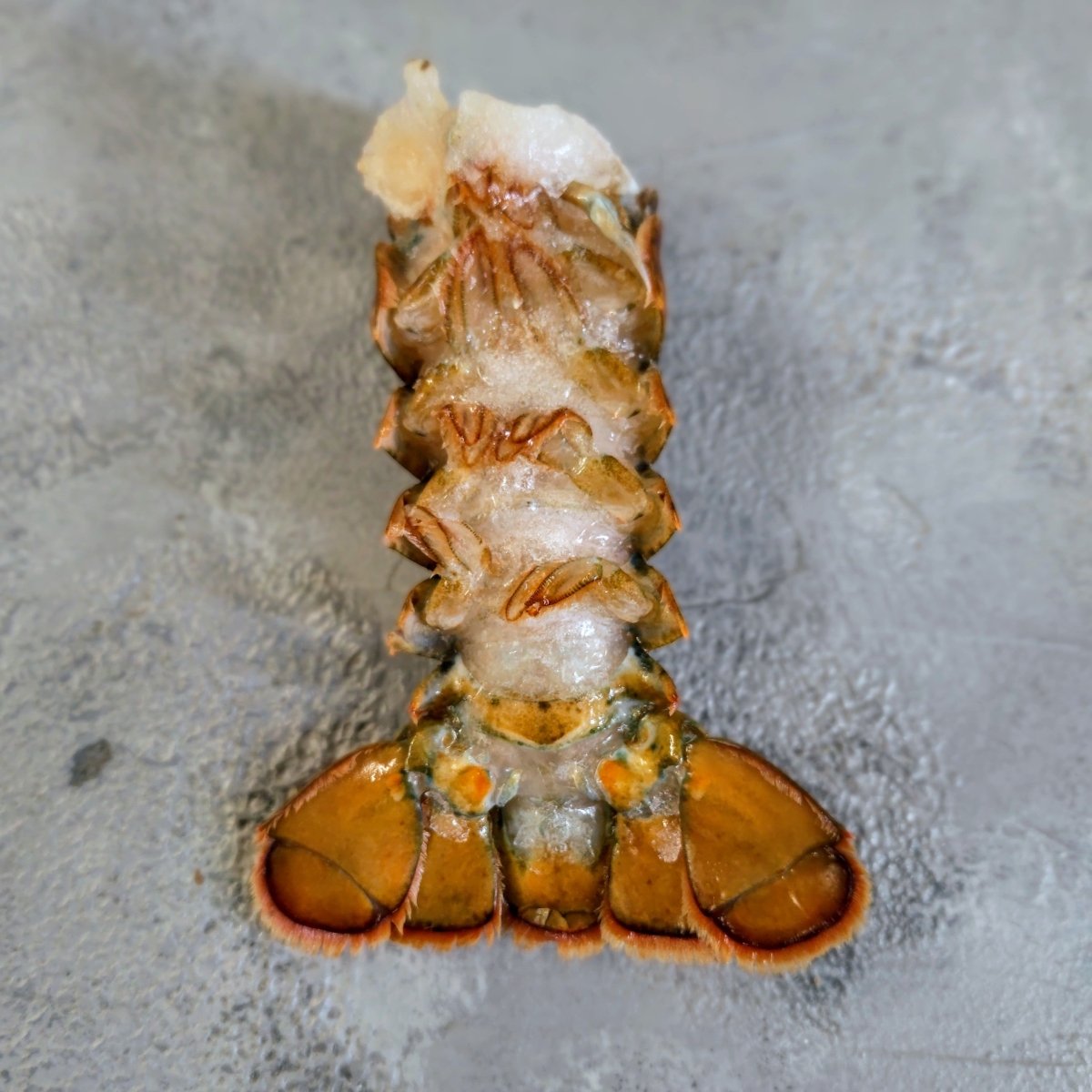 Lobster Tail MSC - Seafood Direct UK