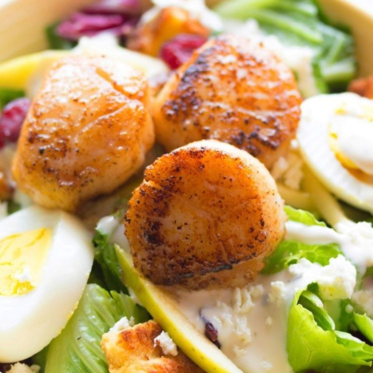 Scallops Roe Off (Large 10/20) - Seafood Direct UK