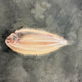 Whole DOVER Soles - Seafood Direct UK
