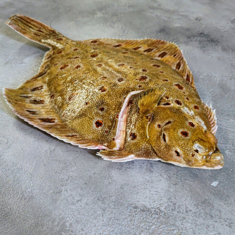 Whole Plaice - Seafood Direct UK