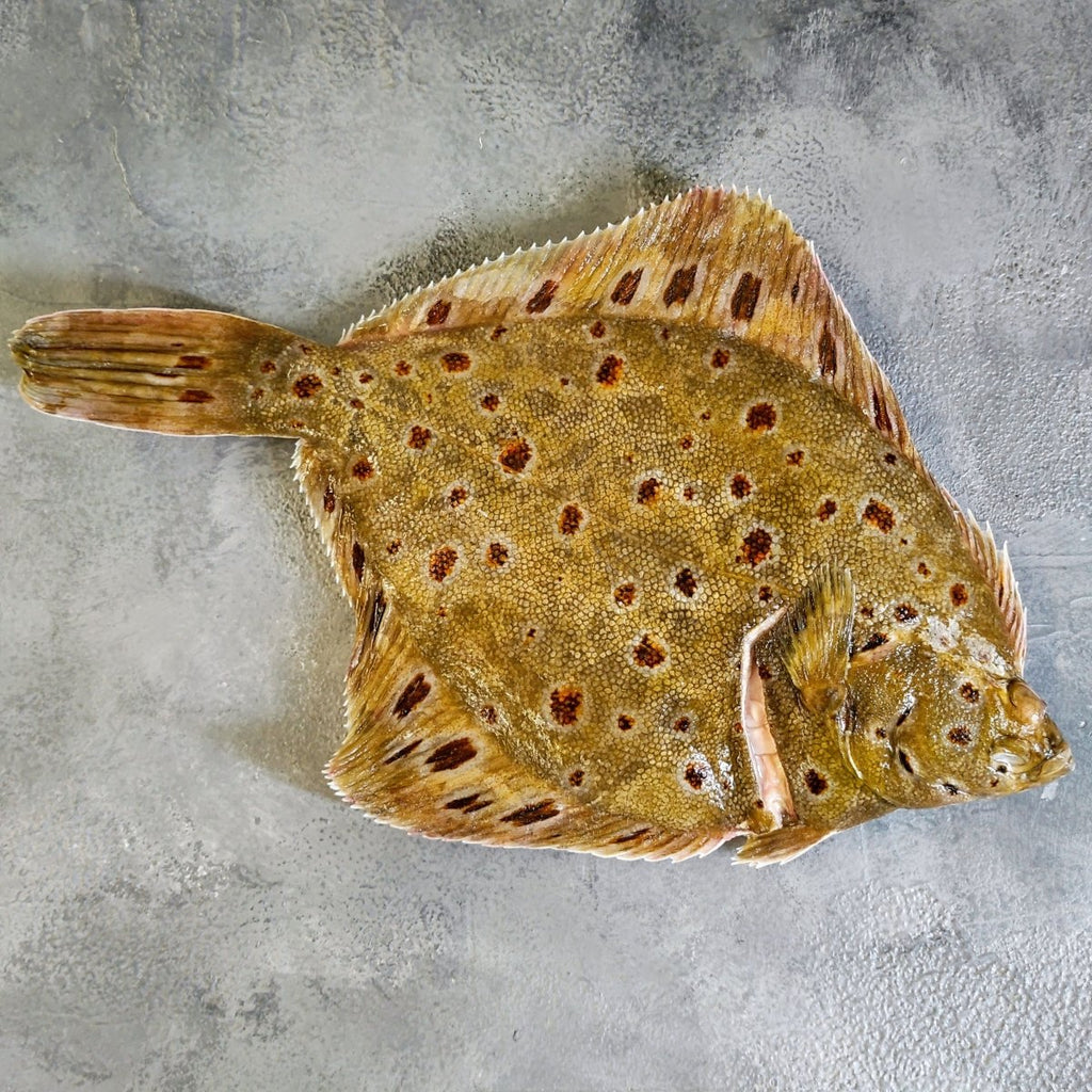 Whole Plaice - Seafood Direct UK