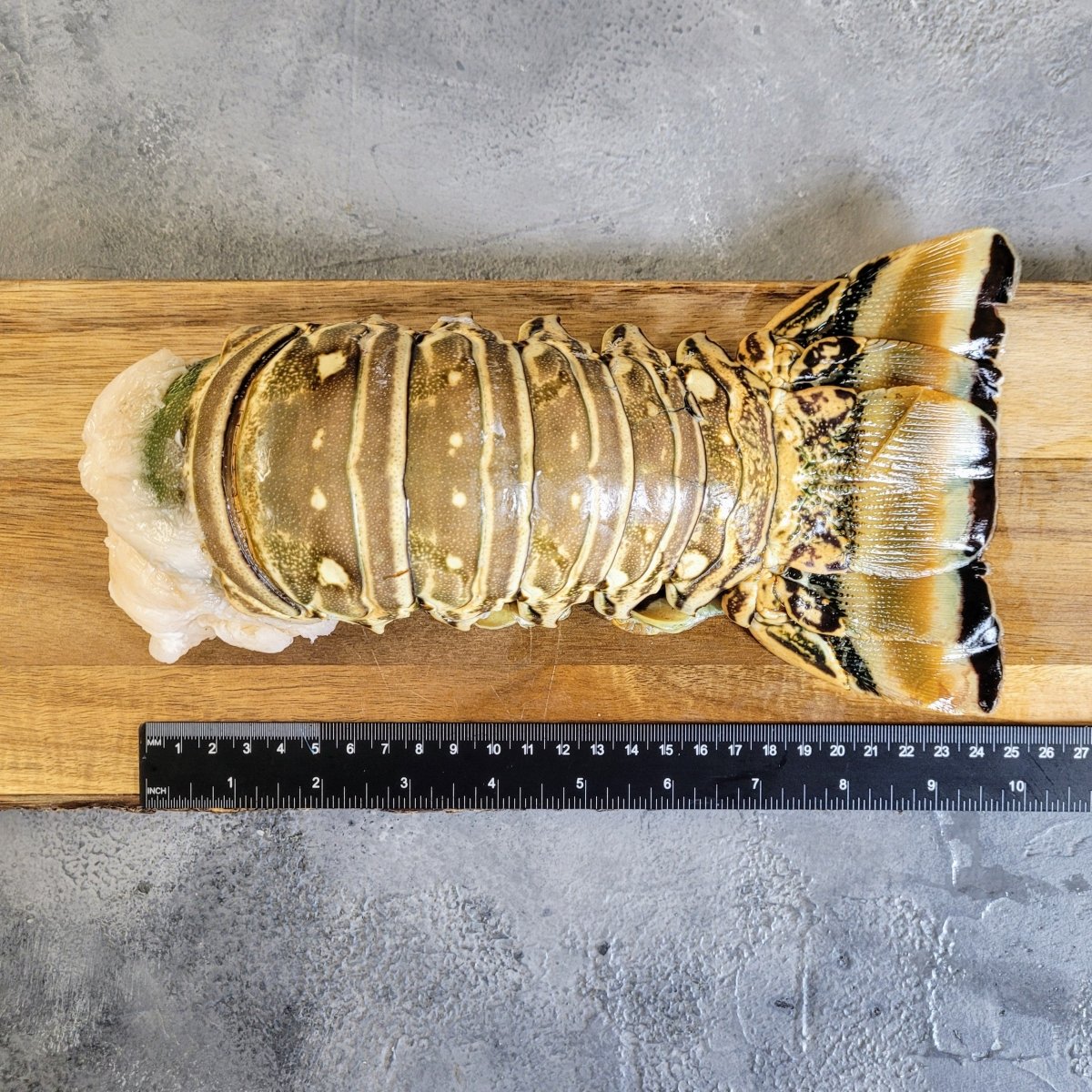 Wild Caribbean Rock Lobster Tail - Seafood Direct UK